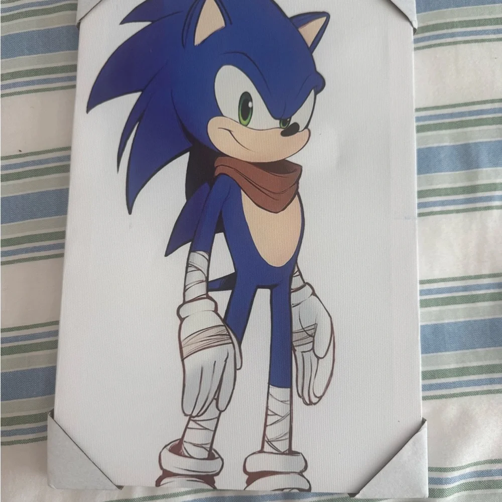 Sonic the Hedgehog Canvas Art